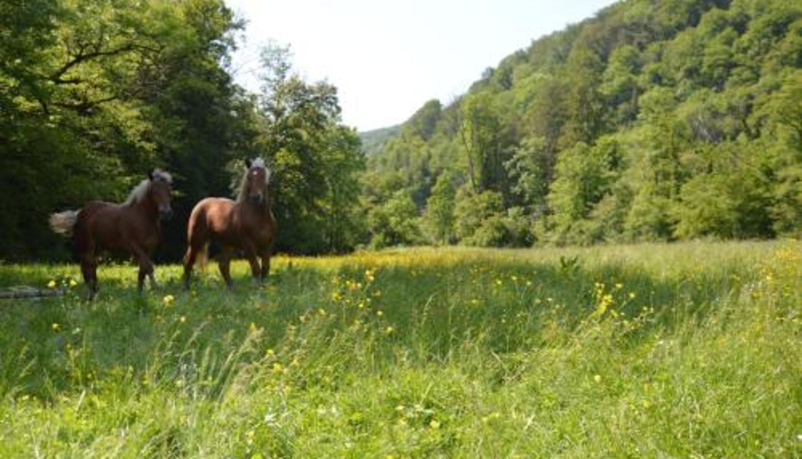 Info - Moulin de la Cuse - Chambre La Cuse