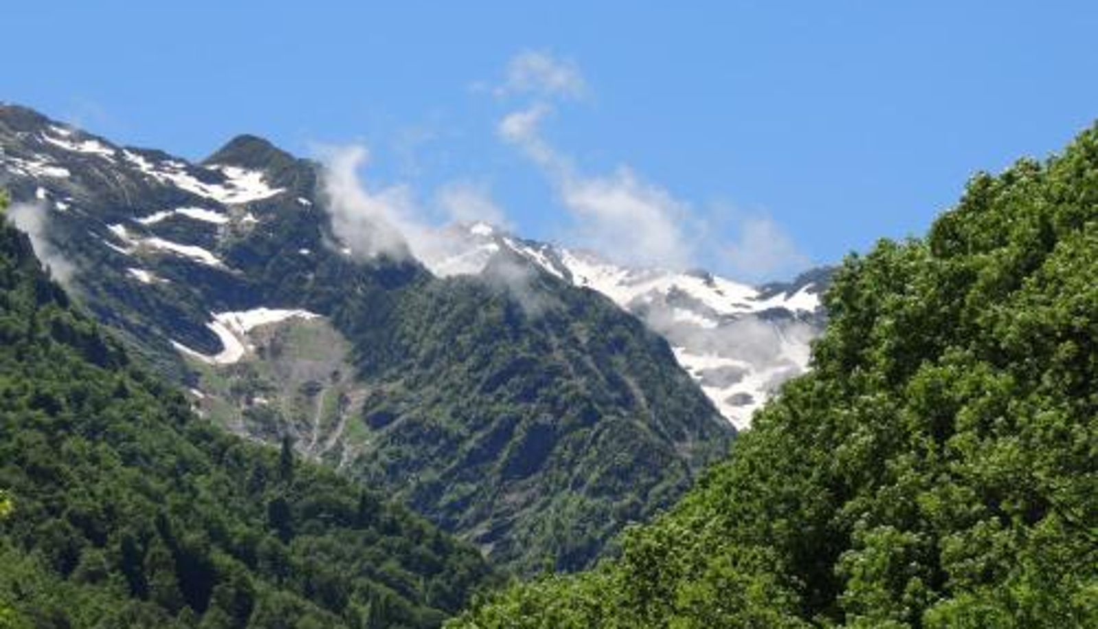 Info - Auberge Les Myrtilles