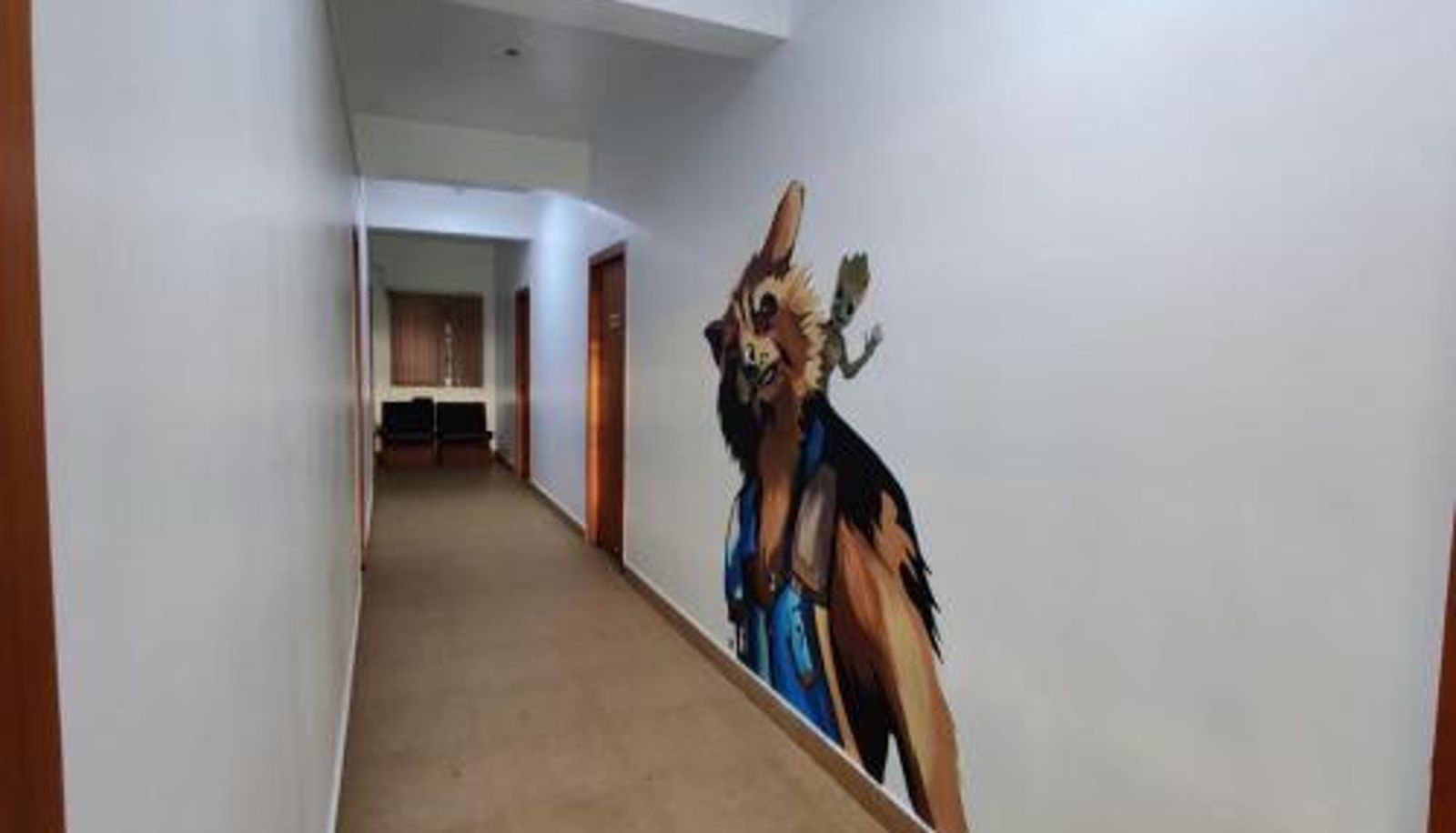 Info - Raccoon Rooms