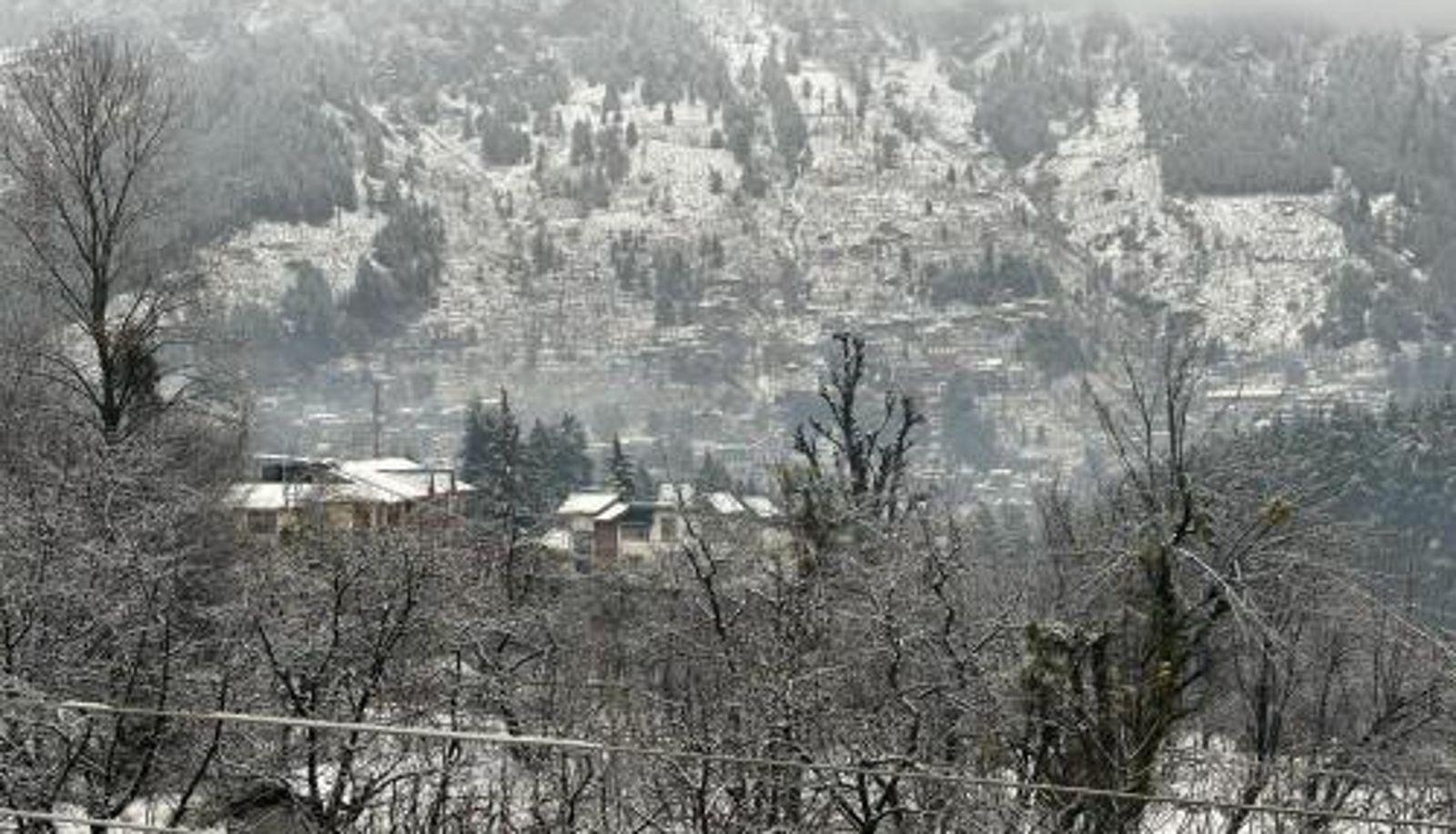Información - Beholden Stay & Cafe-Mountain View Boutique Stay in Old Manali