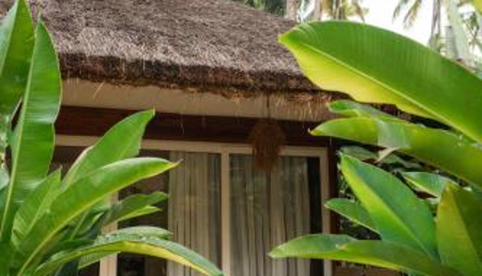 Zimmer - Thalassa Beach Boutique Resort