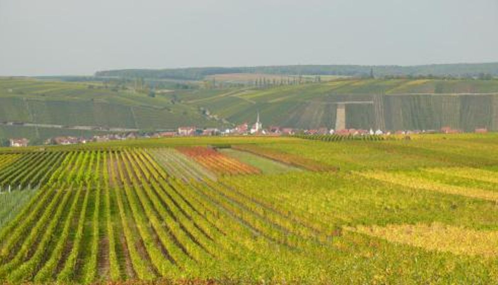 Info - Weingut Herbert Kram