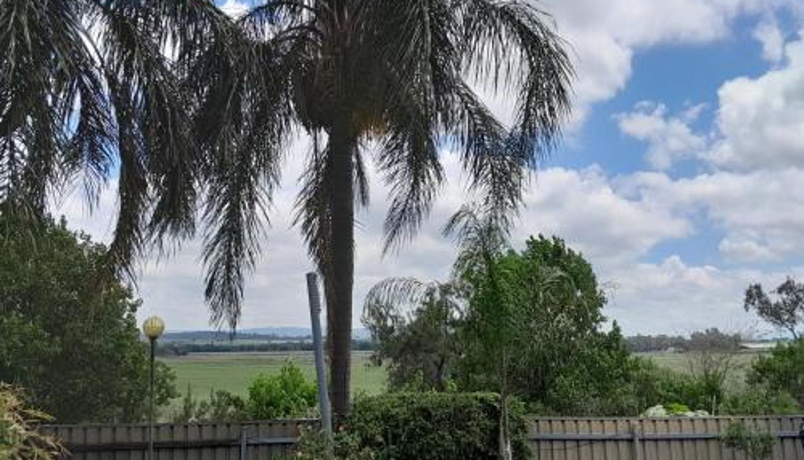 Standardzimmer - Muswellbrook Northside Bed & Breakfast