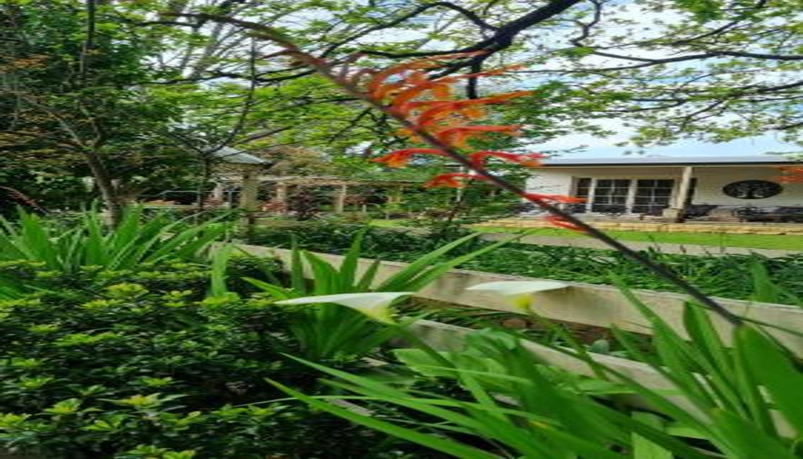 Info - Hahndorf House B&B