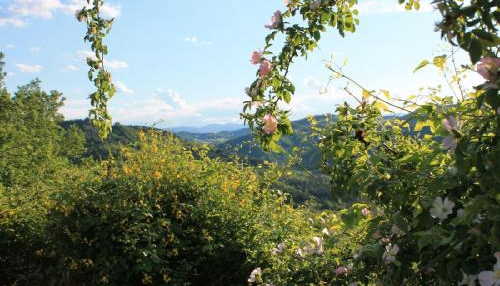 Info - Country House Il Biroccio