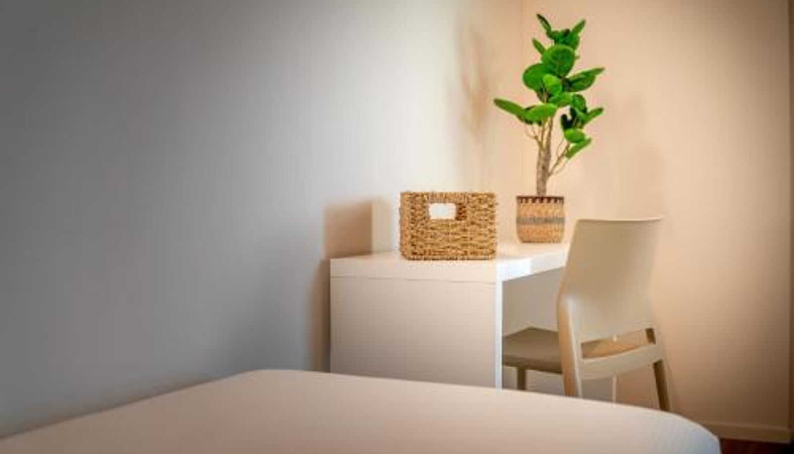 Apartament - Barchessa Cappelletto