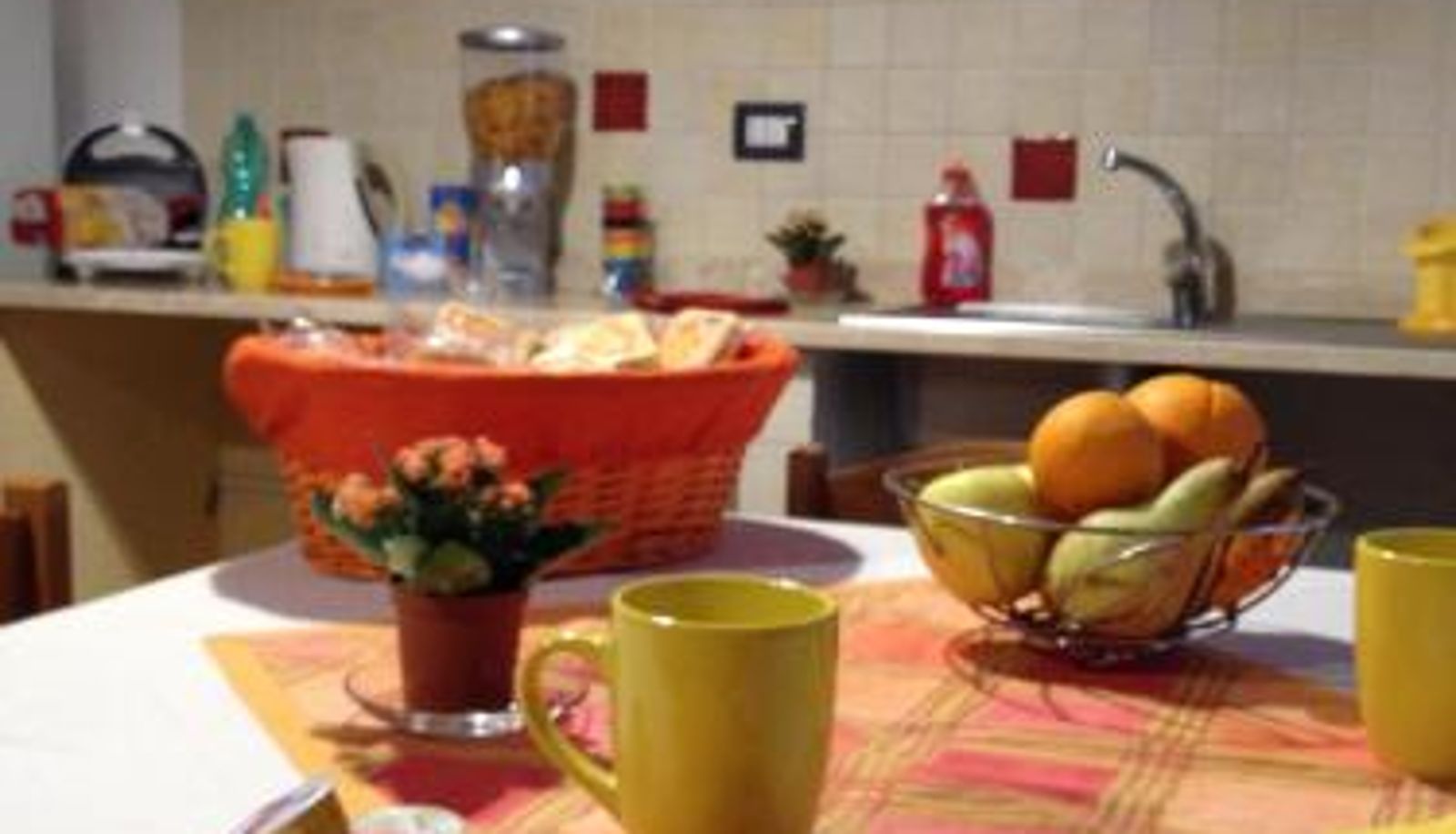 Apartment - Domoruja B&B