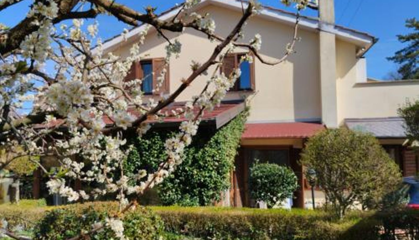 Zona exterior del hotel - B&B Angolo Verde