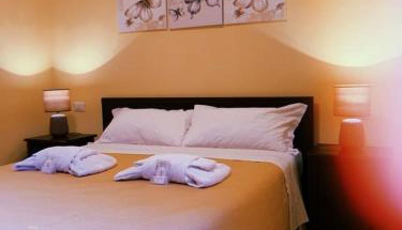 Standard room - Vatican City Accommodation