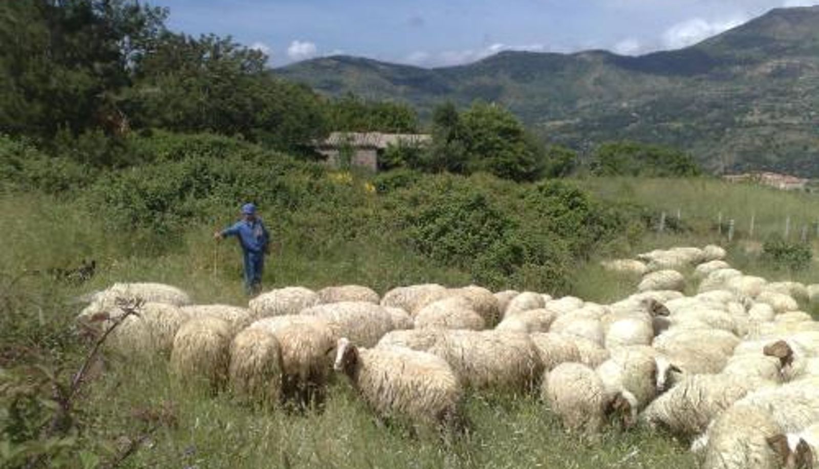 Info - La Locanda Di Cadì