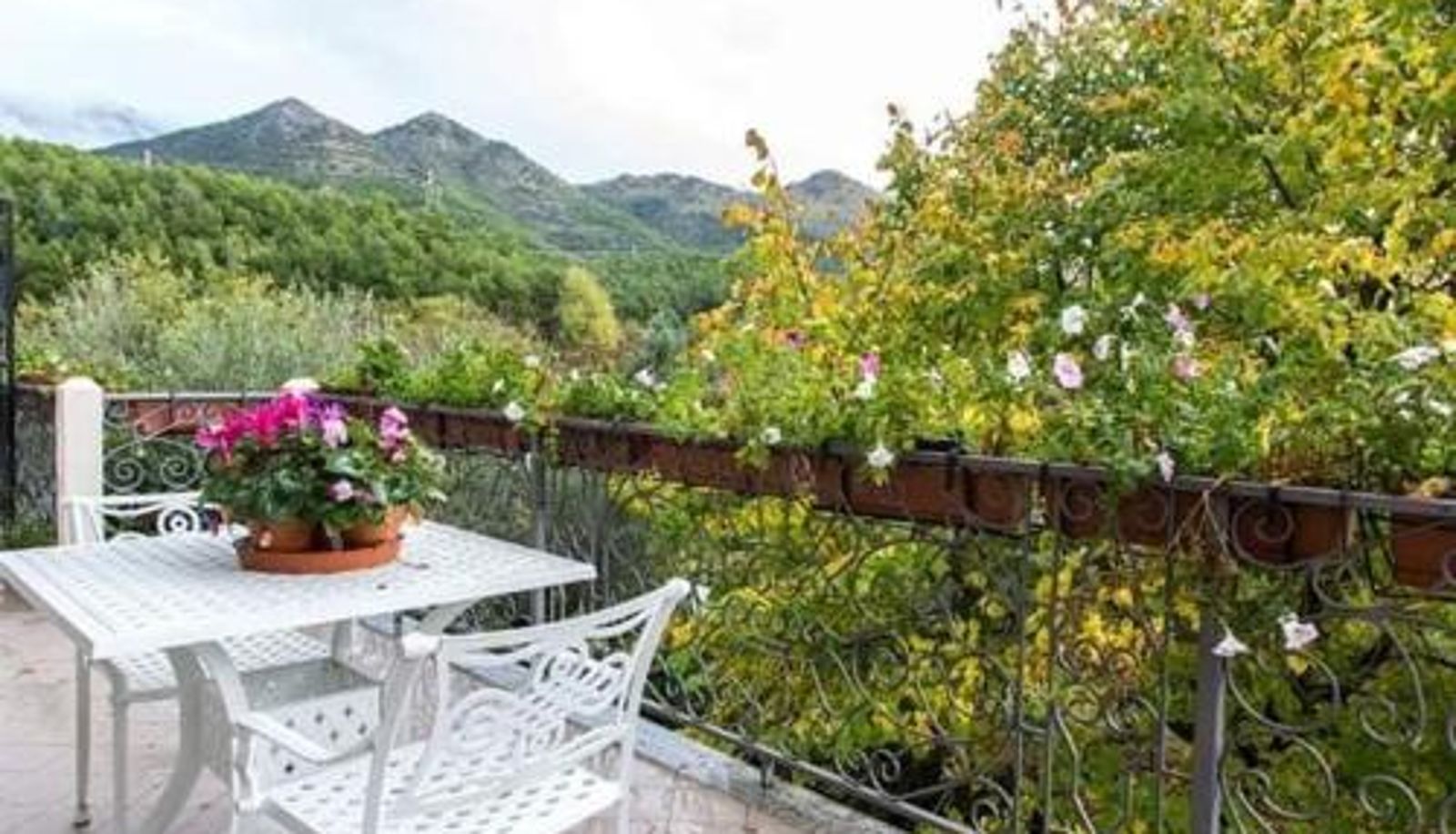 Info - B&b Sant'Andrea