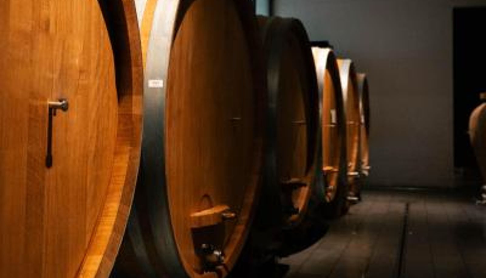 Zona de bienestar y gimnasio - Foresteria del Castello di Perno - Rooms with Stunning Langhe Views at a Barolo Winery