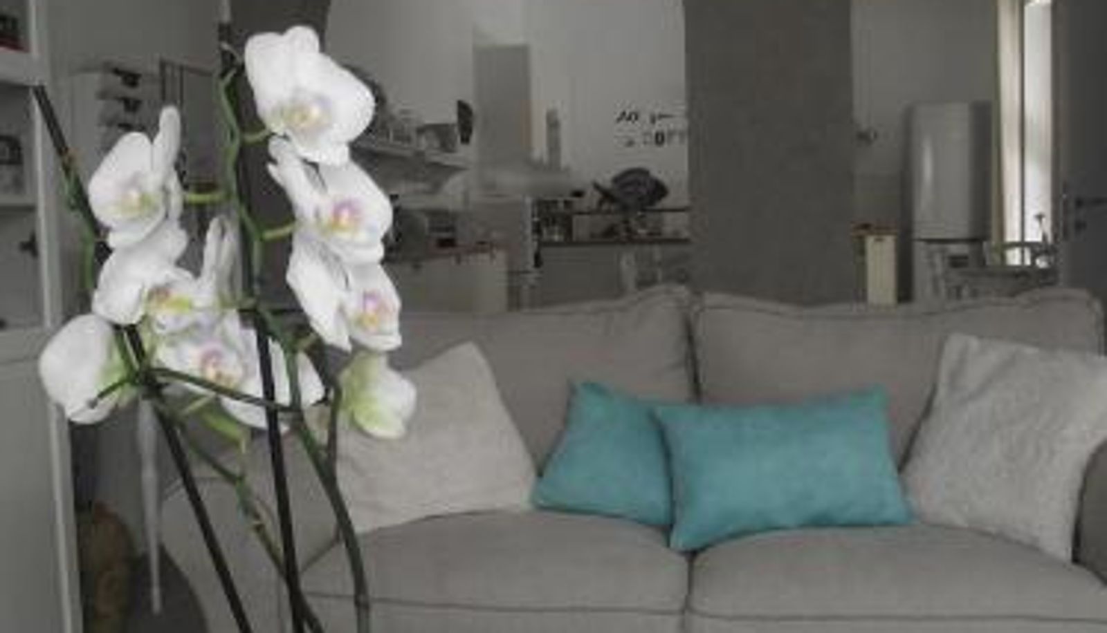 Info - Mediterranea Sea House