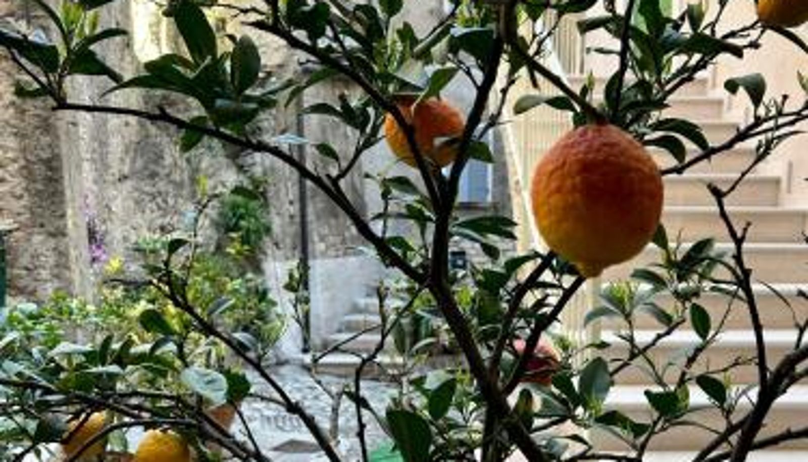 Standard room - Studios Al Castello dei Limoni