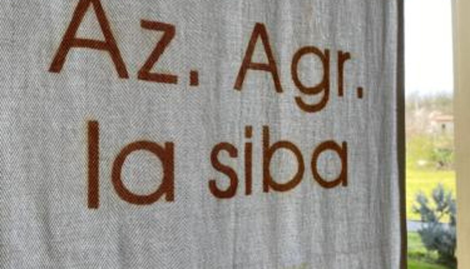 Info - La Siba Experience