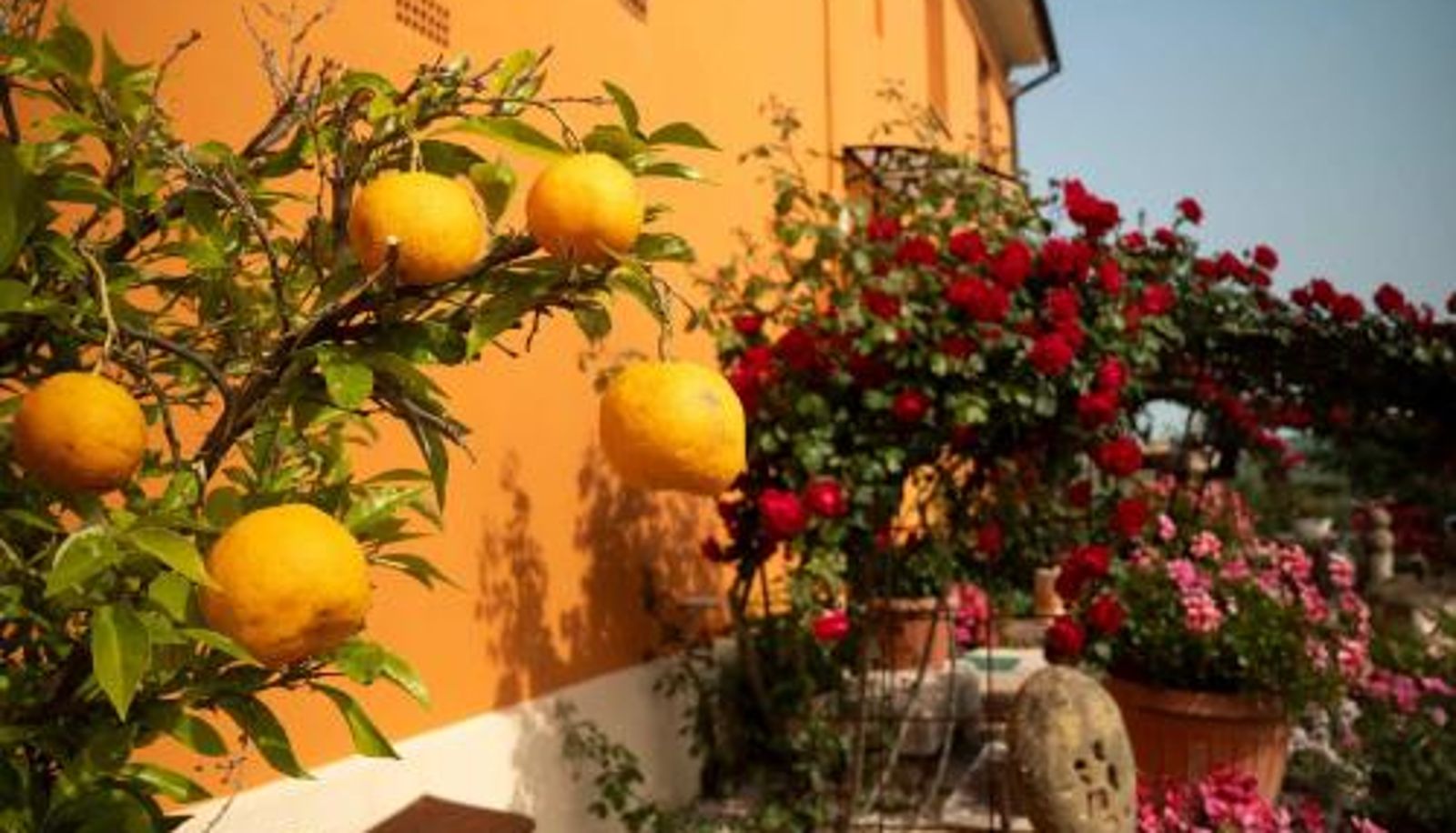 Información - B&B Aesis La Dolce Collina