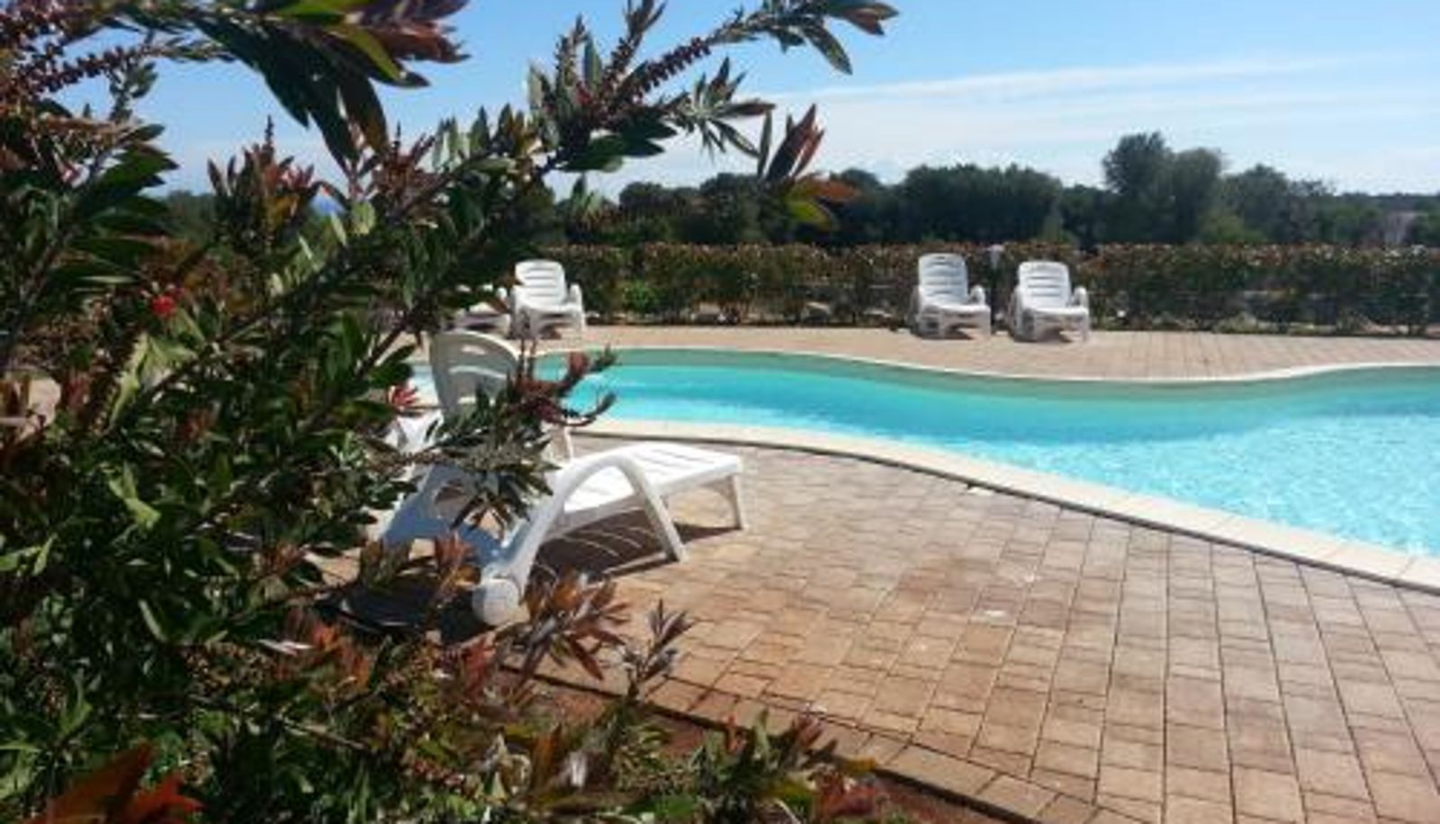 Pool - B&B La Vigna