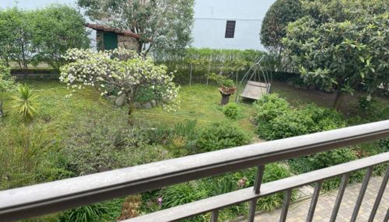 Tripla - Bed & Breakfast L'Albero Maestro