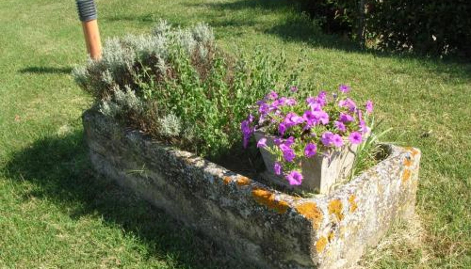 Info - Agriturismo Il Poderino