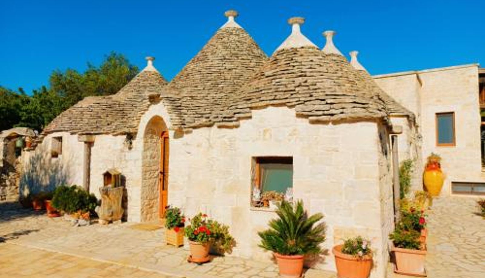 Area esterna dell'hotel - B&B La Rosa dei Trulli Alberobello