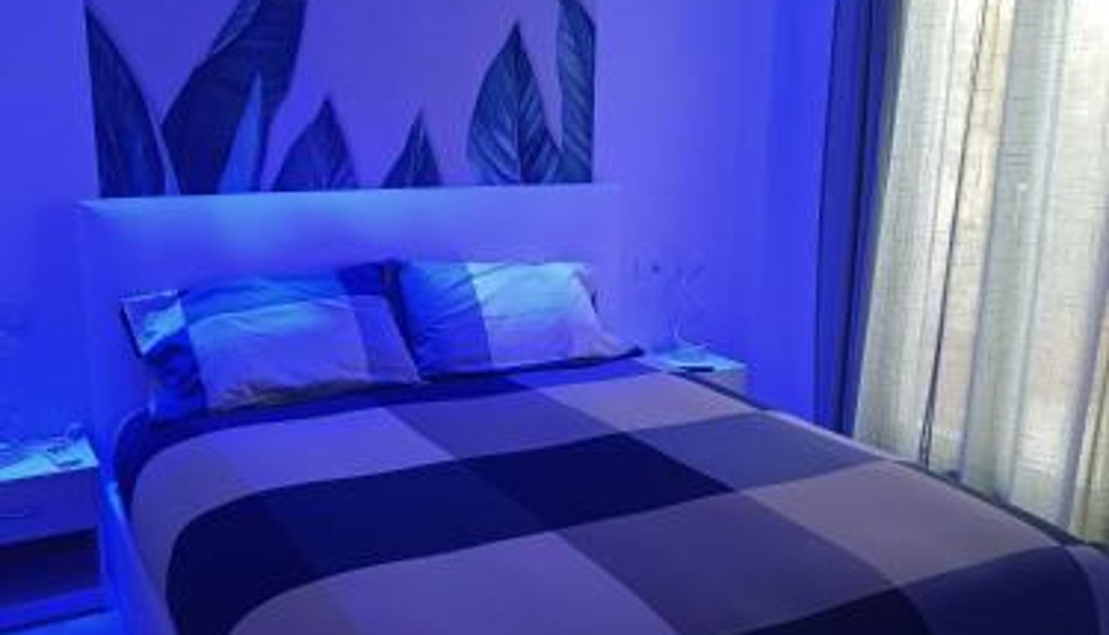 Zimmer - Blumoon boutique