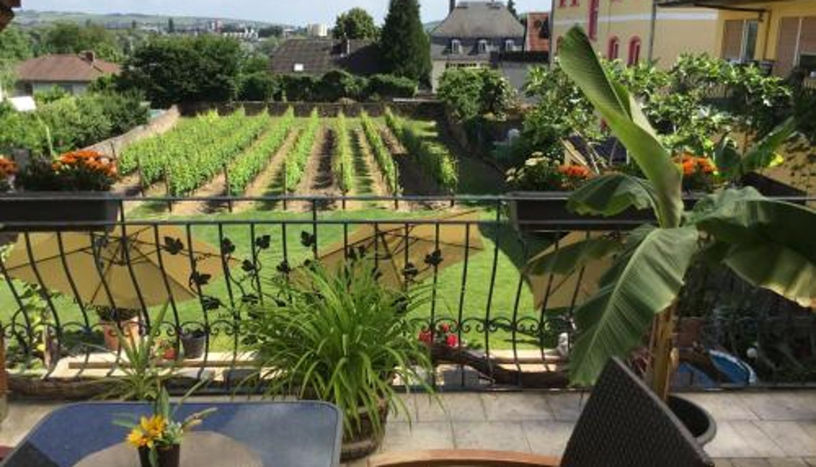 Info - Bed and Breakfast - Rheingauer Hof