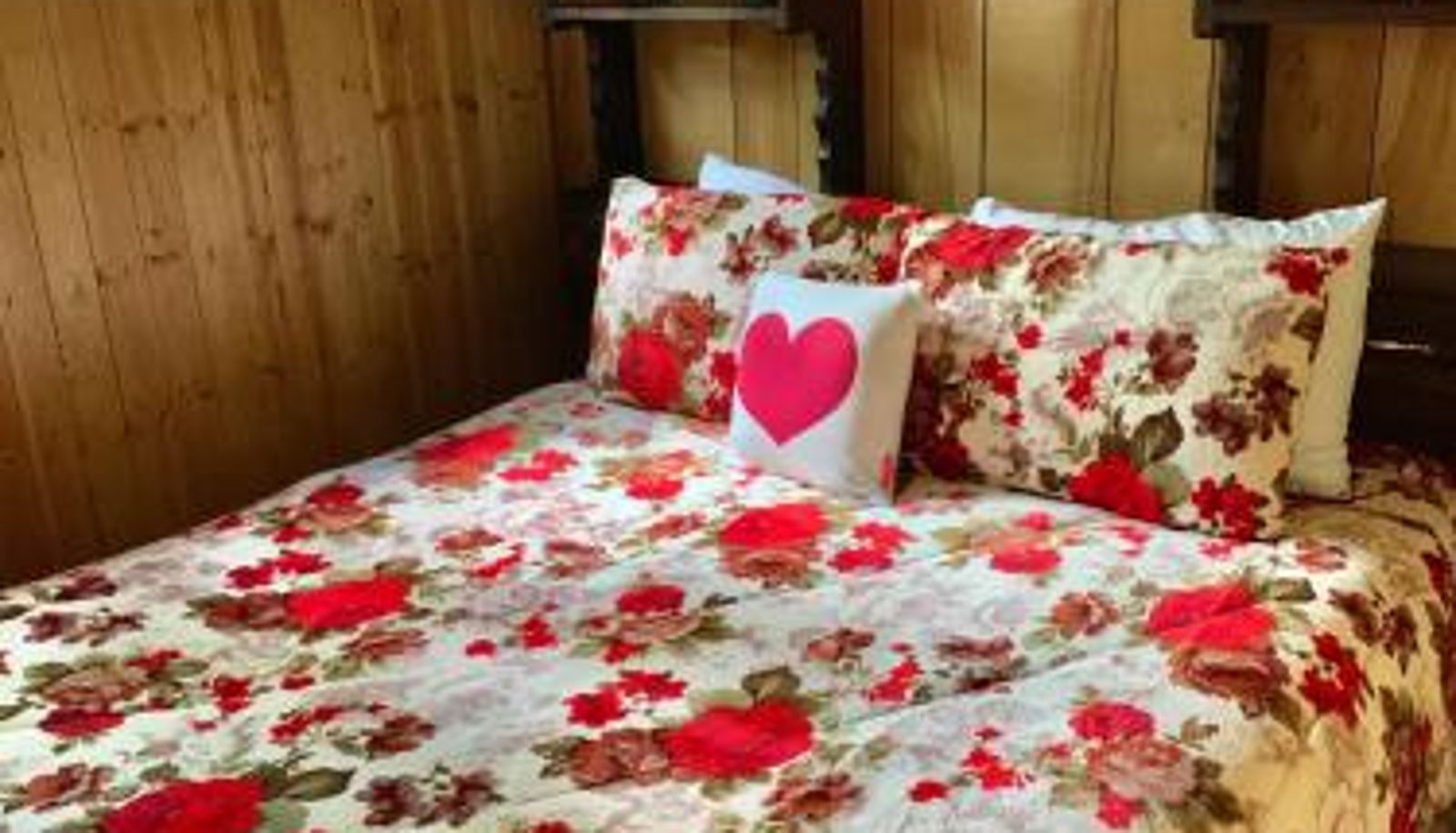 Room - Grey Squirrel Resort