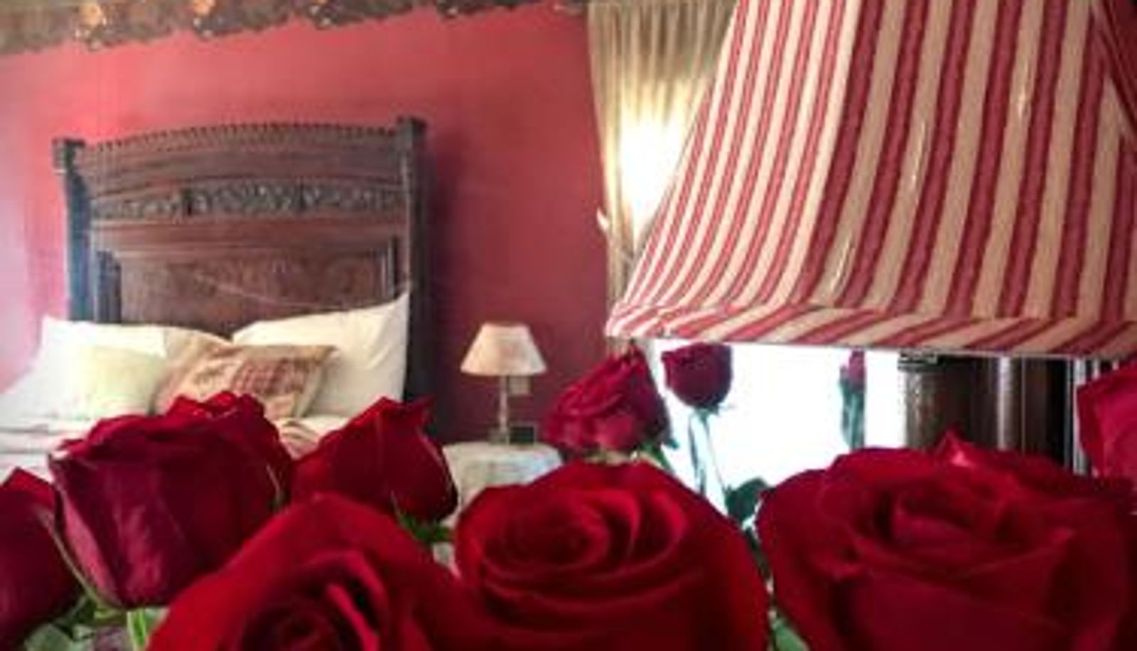 Suite - Rose Street Bed & Breakfast