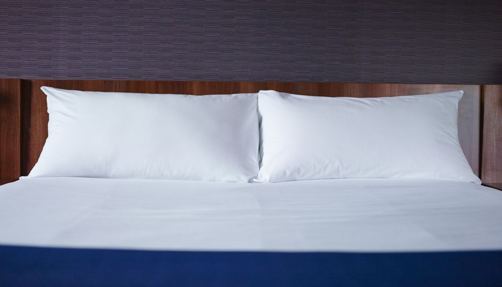 Zimmer - Holiday Inn Express LONDON - VICTORIA by IHG
