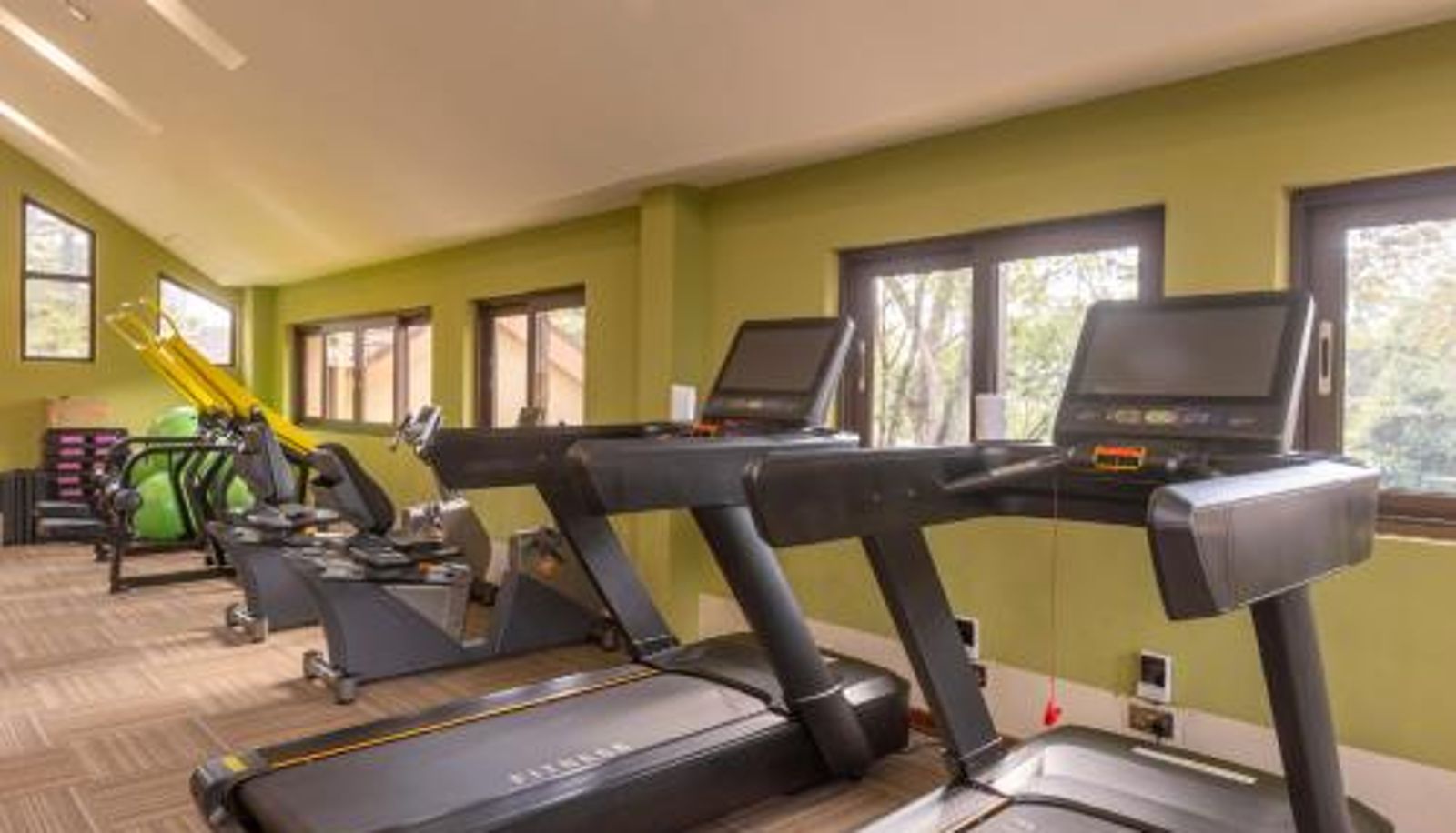 Zona de bienestar y gimnasio - Hermosa Garden Hotel