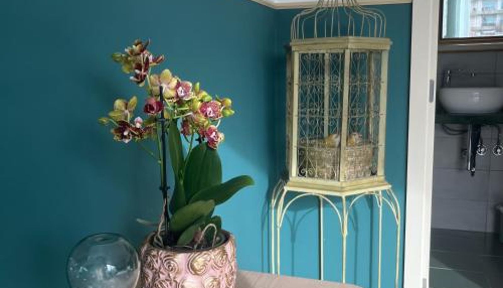 Chambre - Vila Camélia