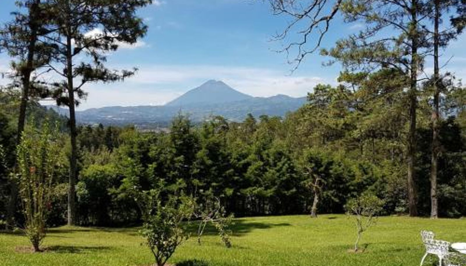Info - Bosque Macadamia