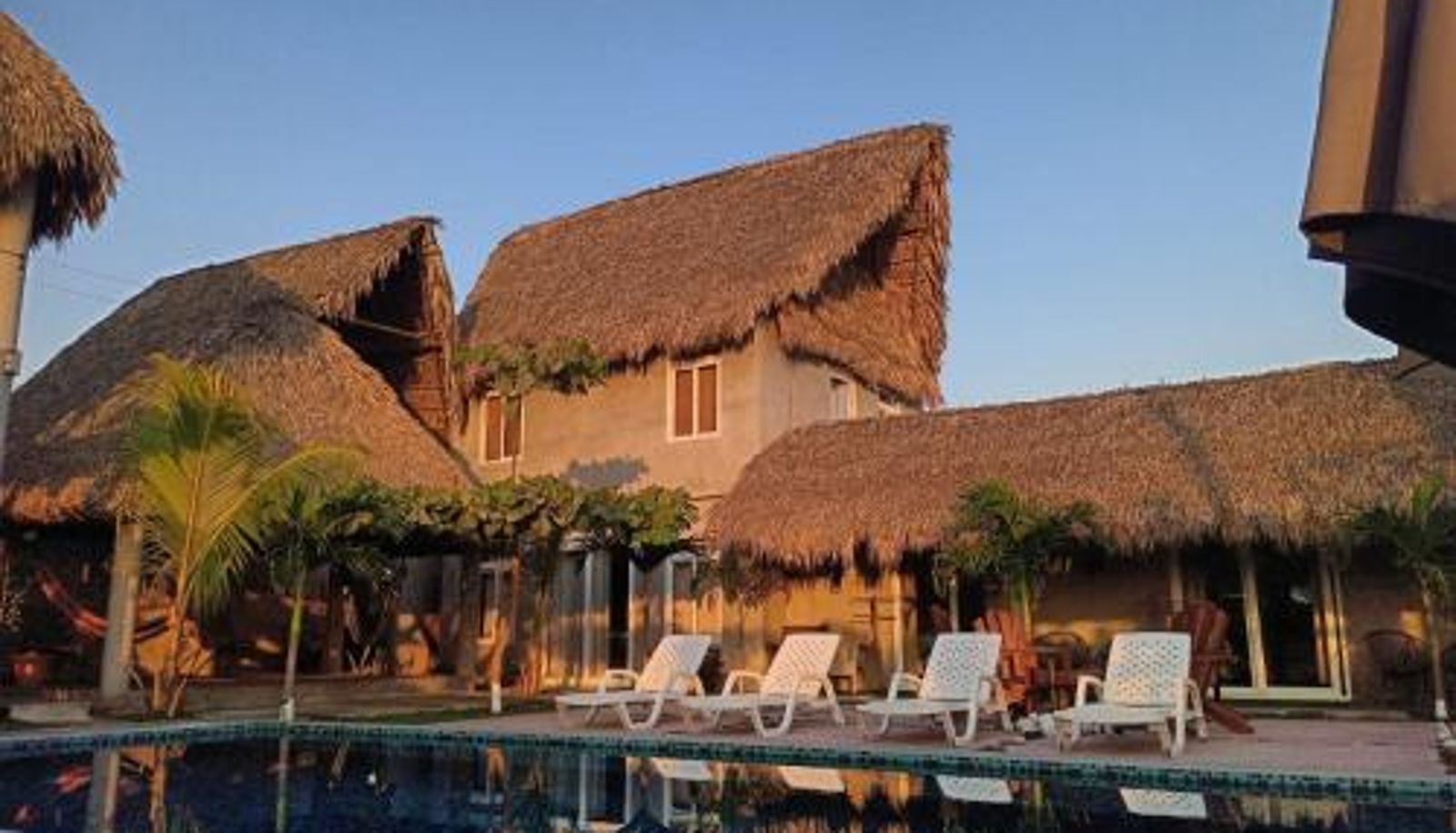 Info - Gecko Hotel