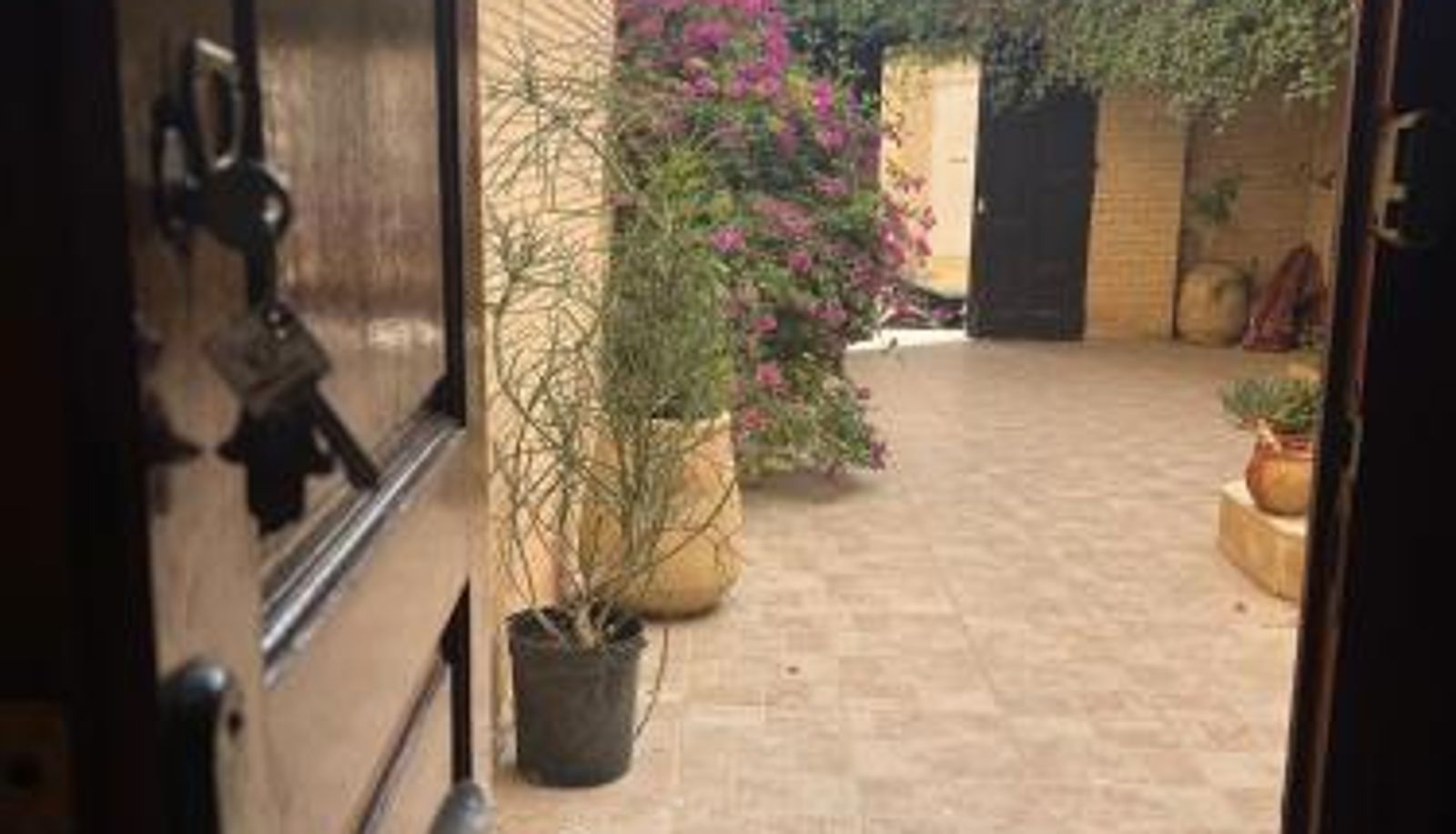 Info - Residence Tozeur Almadina