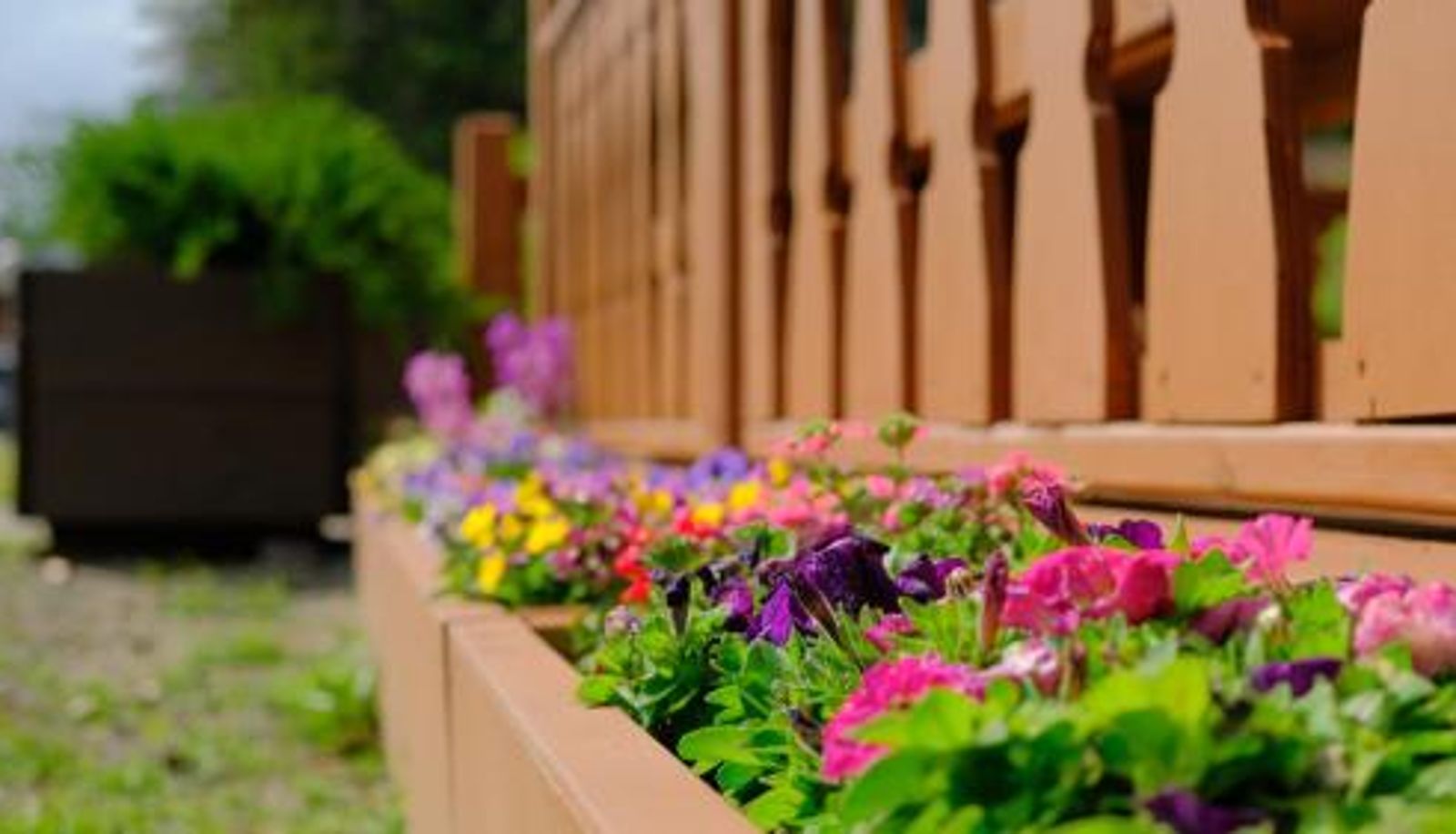 Terraza - Riverfront Estate Bed&Breakfast Banff