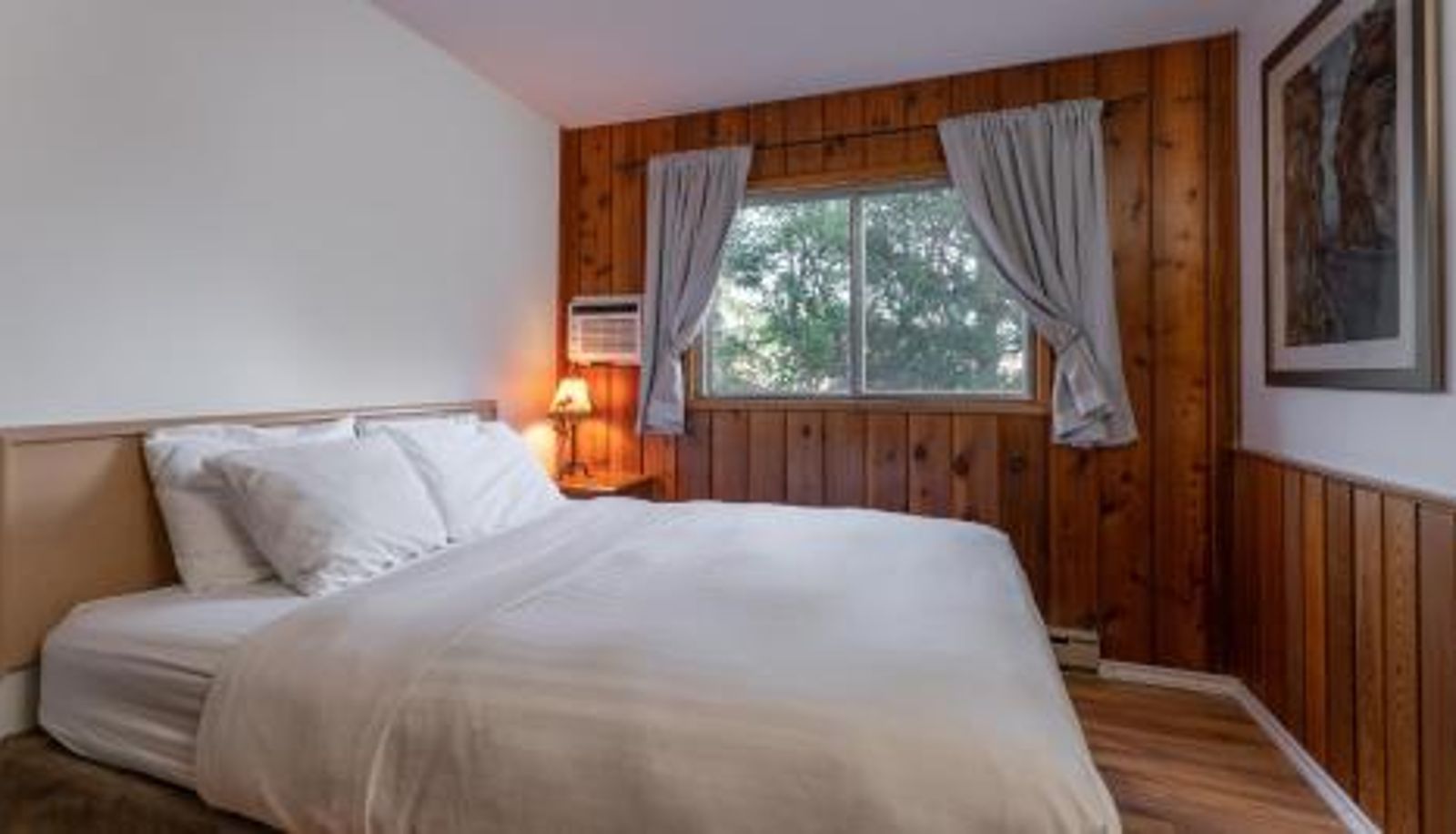 Info - Cedar Motel