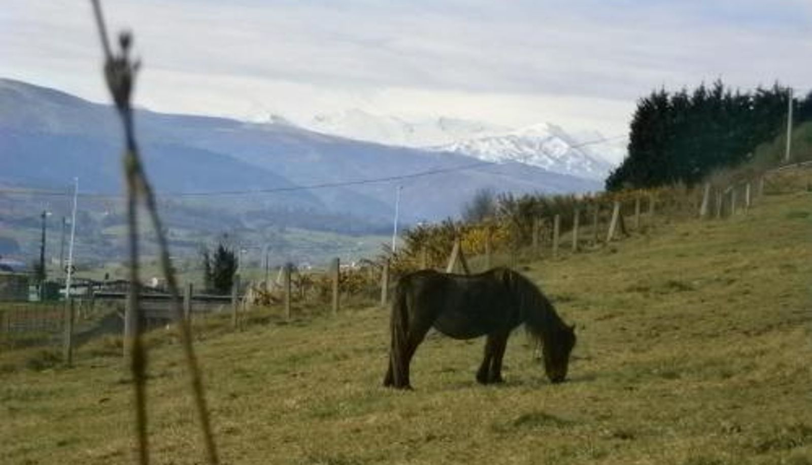 Info - Posada Las Torres