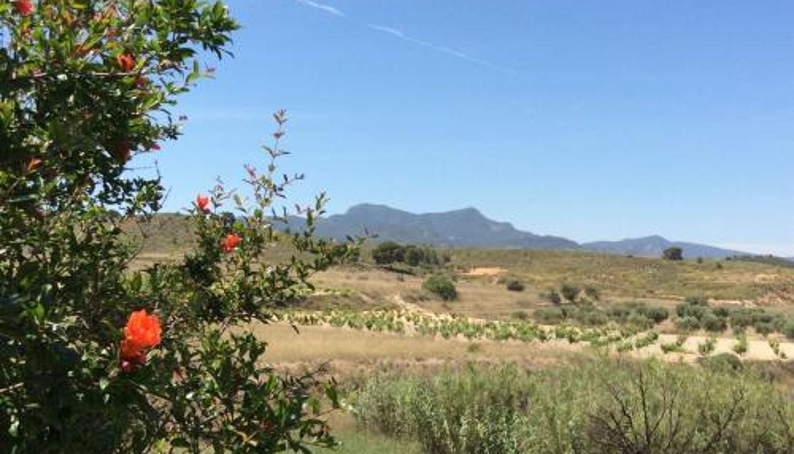 Info - Los Cuatro Vientos B&B