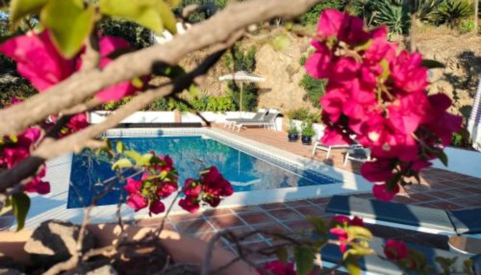 Info - Finca Flamenco Holiday Suites Adults Only