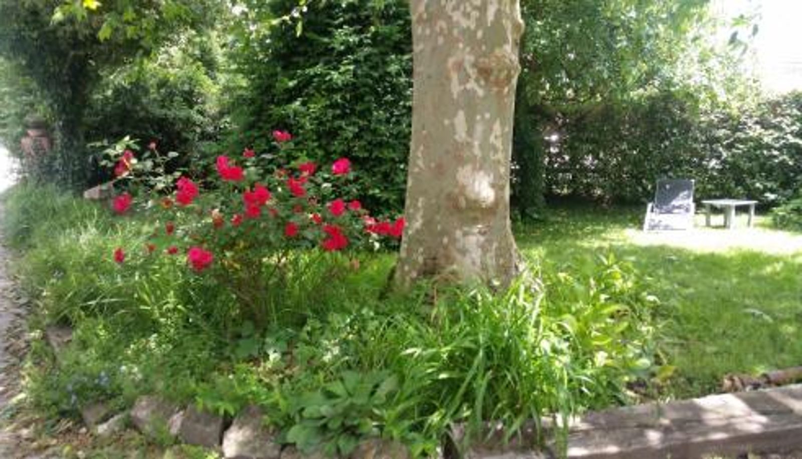 Appartamento - Errotazar apartamento M