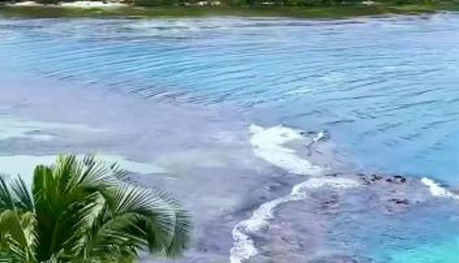 Info - Ranchos de Chalia Panama
