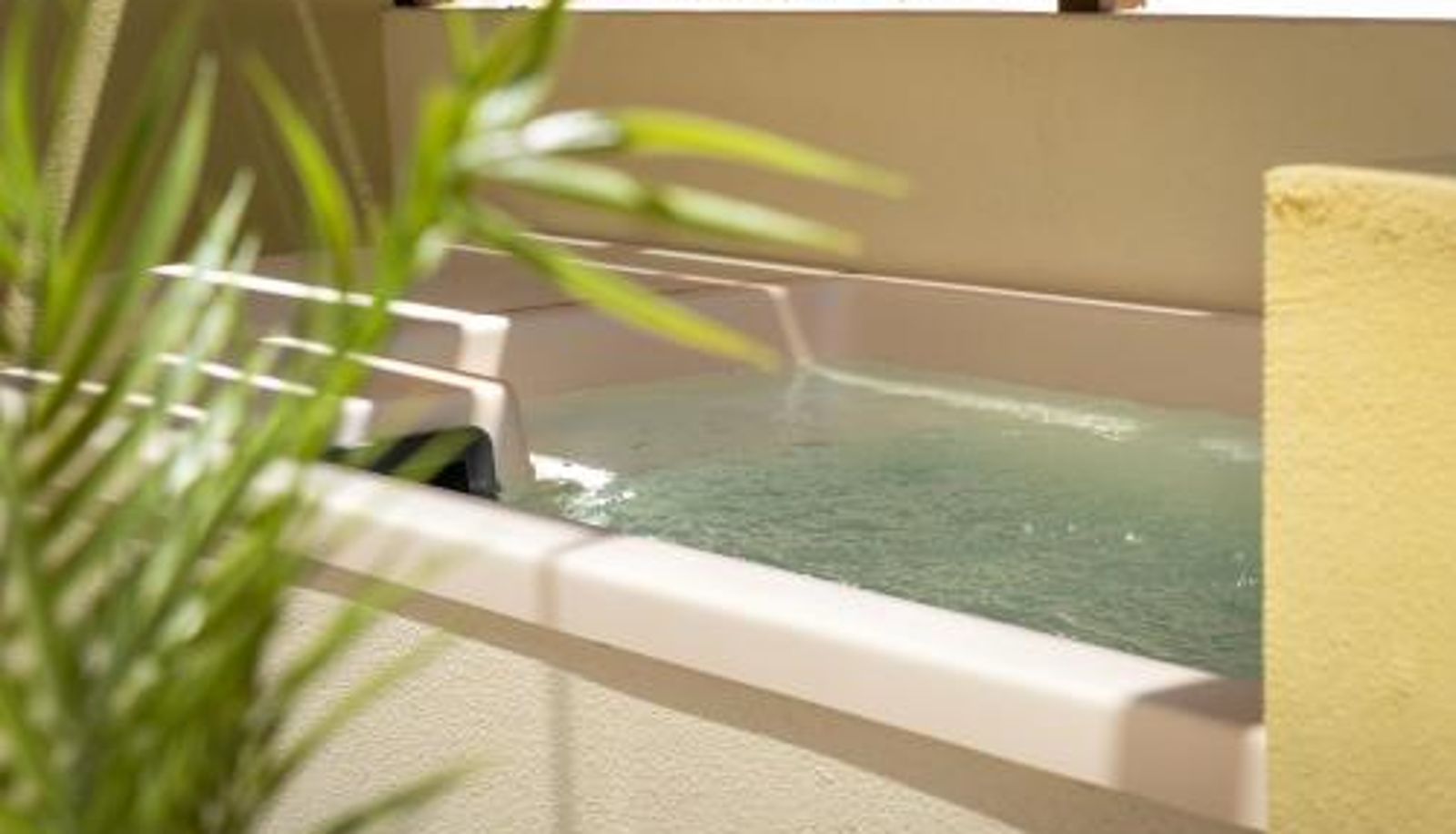 Suite - Açai Plant Based Hotel