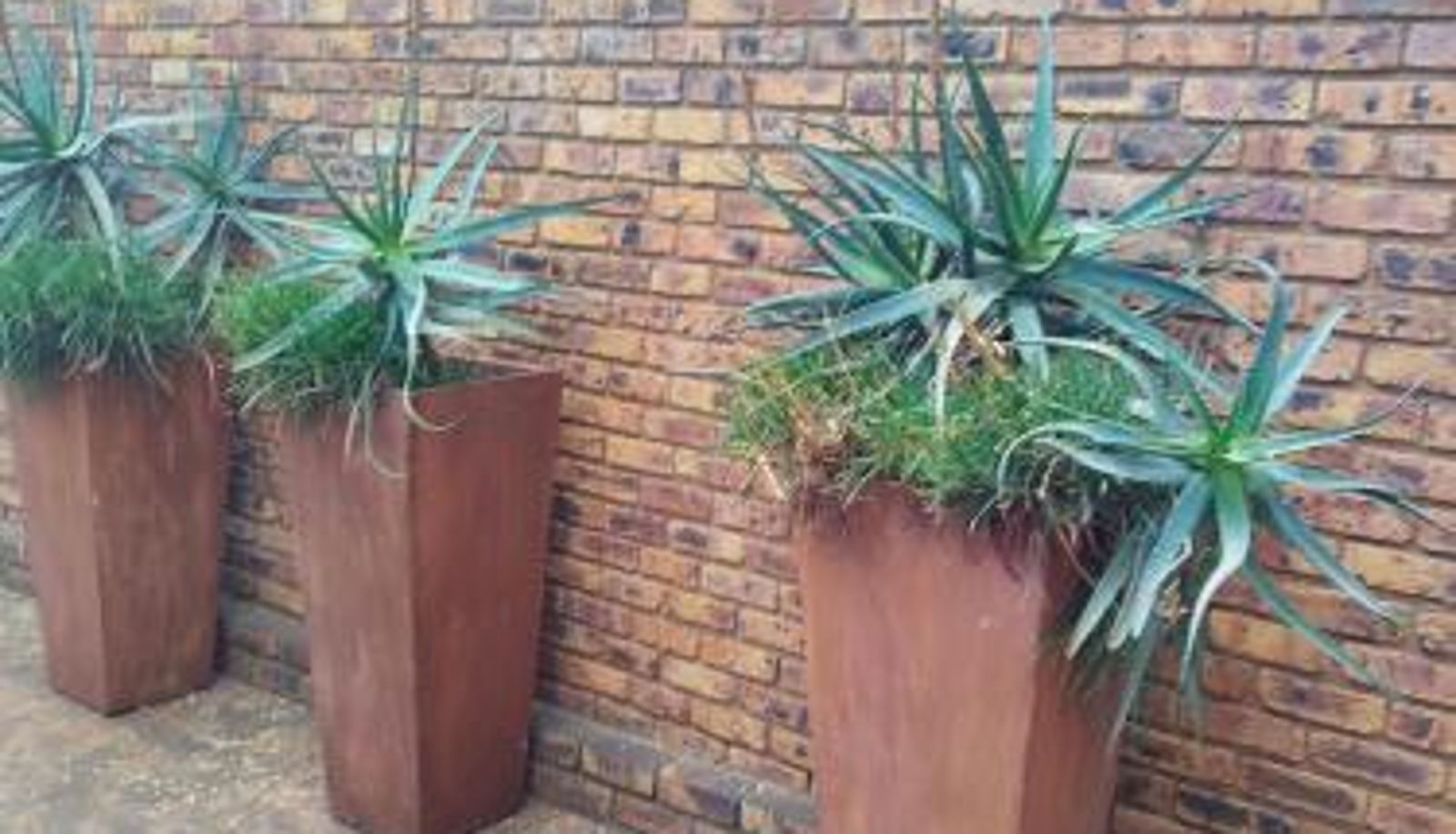 Info - Feather Tree Bed and Breakfast