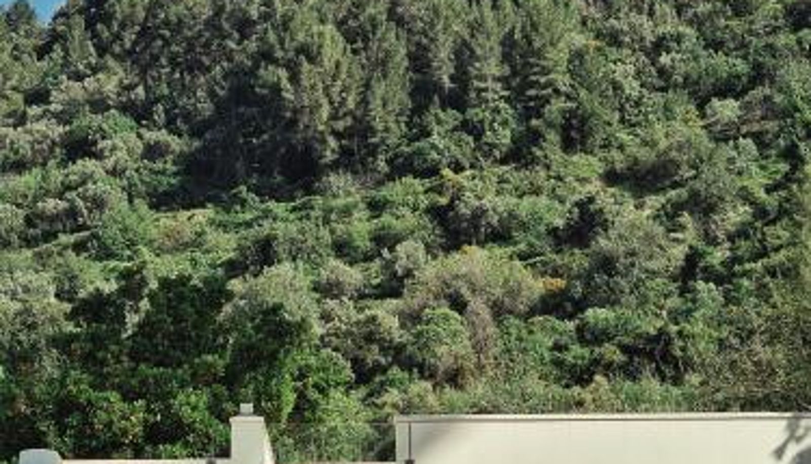 Kamer - YOUNG Hotels Denia