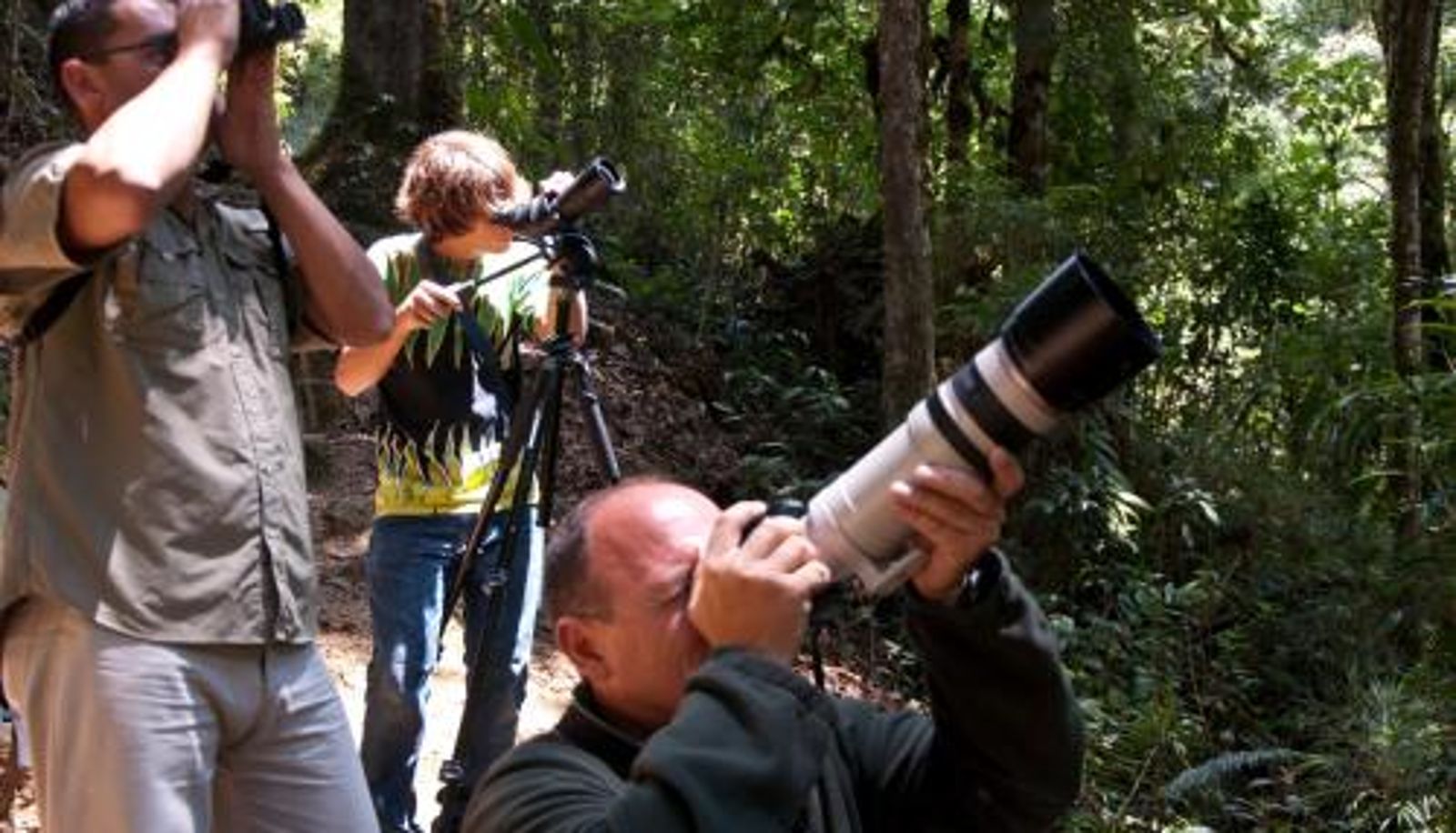 Wellness- en fitnessruimte - Dantica Cloud Forest Lodge