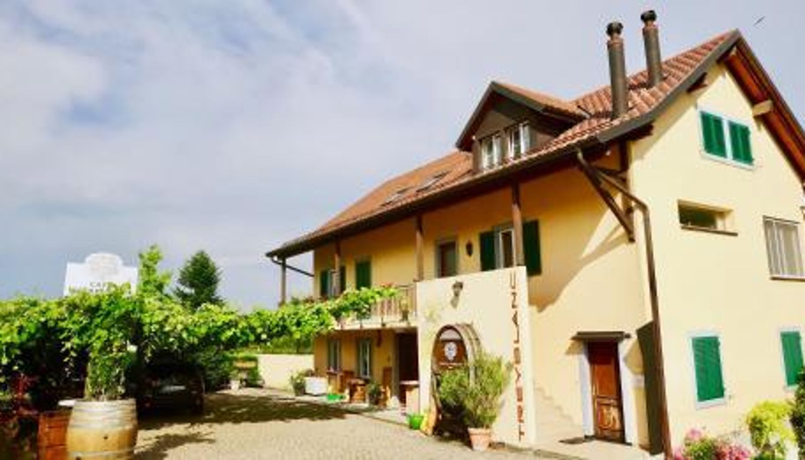 Info - Cave Du Treyblanc