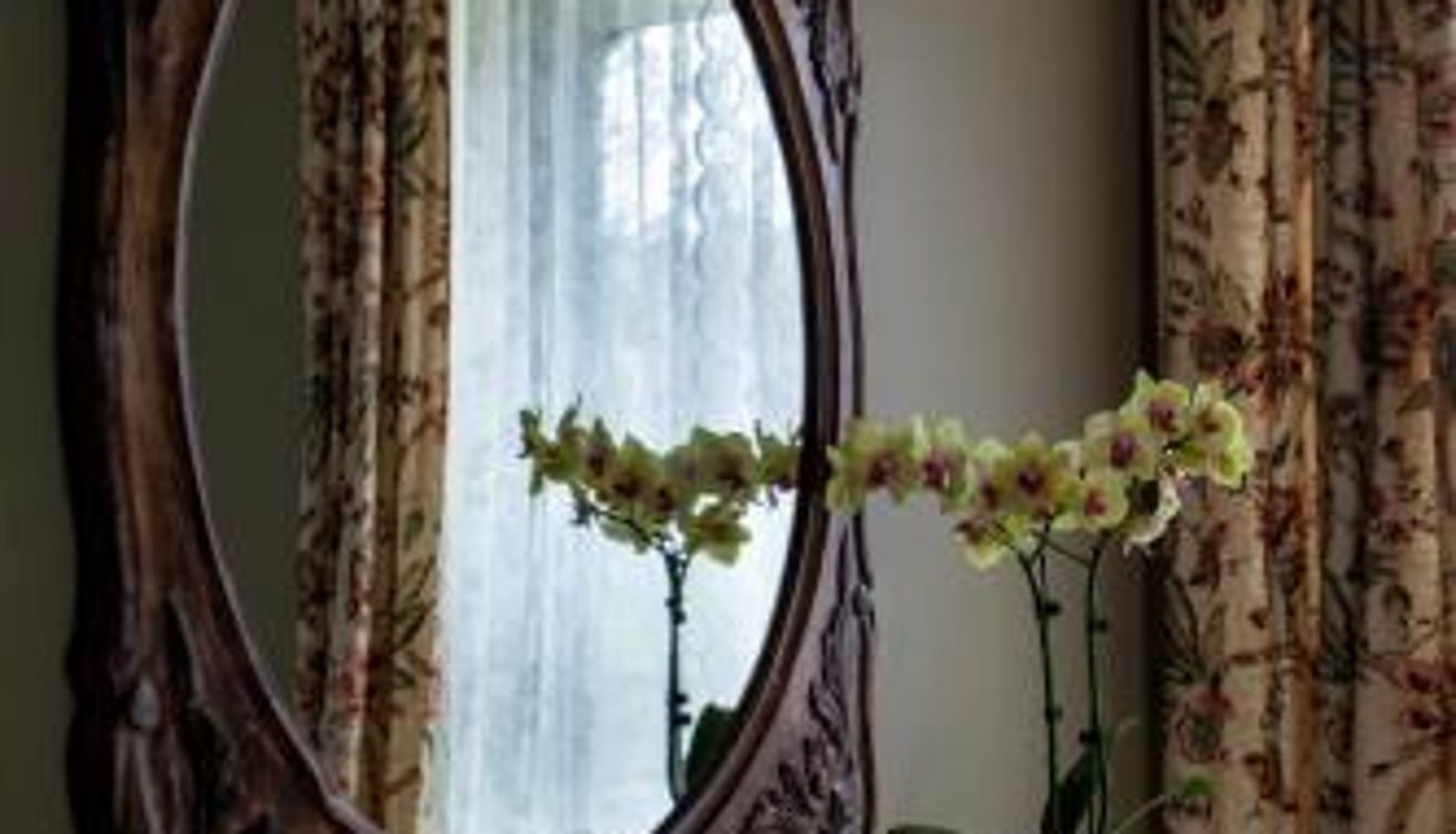 Ausblick - Maplehurst Manor Bed and Breakfast