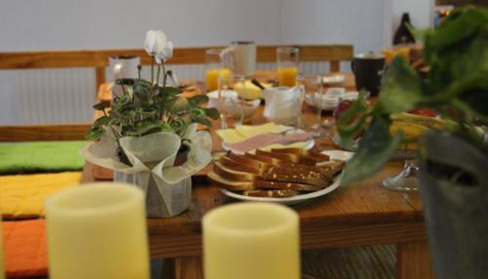Info - Innata Casa Hostal