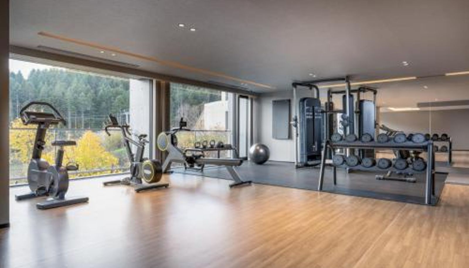 Zona de bienestar y gimnasio - Sansui Niseko