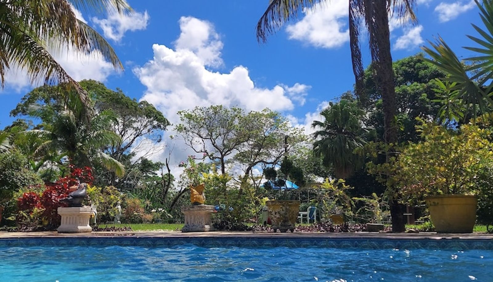 Pool - Hotel Netto
